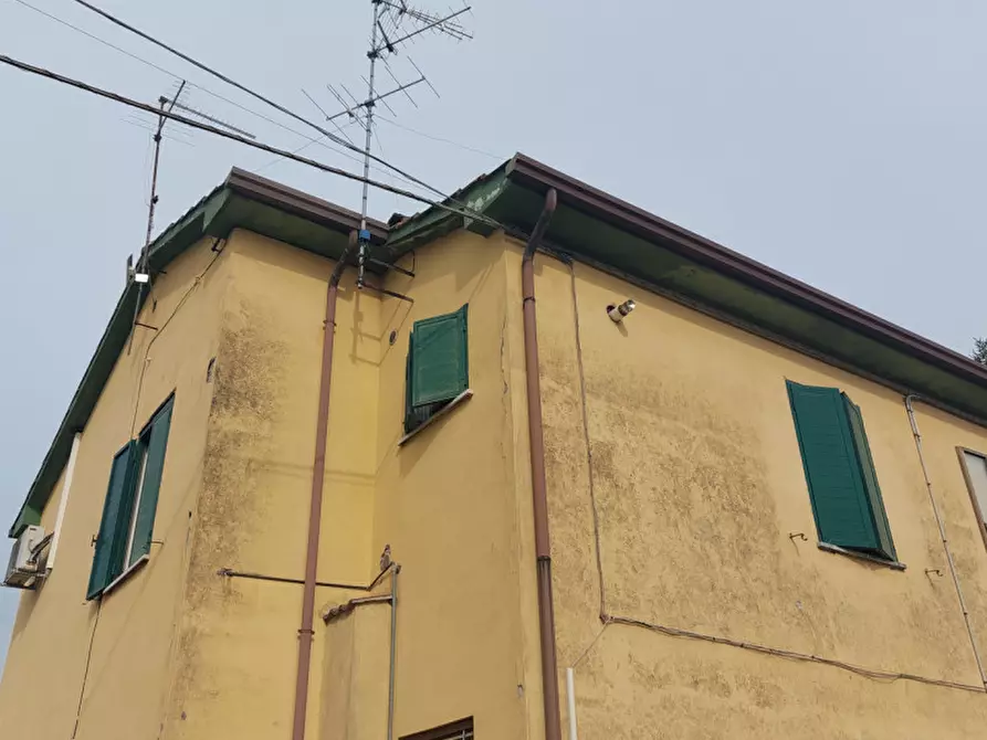 Immagine 6 di Appartamento in affitto  a Ceneselli