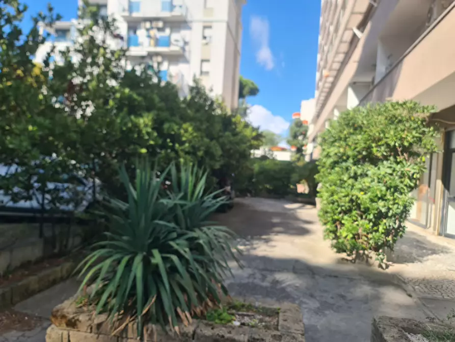 Immagine 7 di Attività commerciale in vendita  in Viale dei Pini a Comacchio