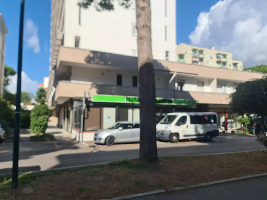 Immagine 13 di Attività commerciale in vendita  in Viale dei Pini a Comacchio