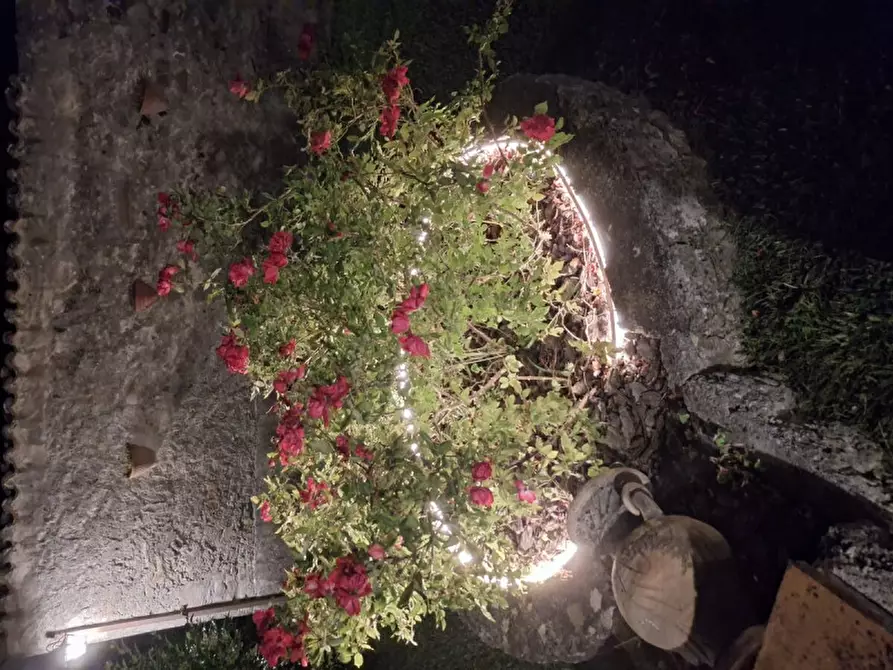 Immagine 14 di Bed & Breakfast in vendita  in Corso Giuseppe Garibaldi, 70 a Rivello
