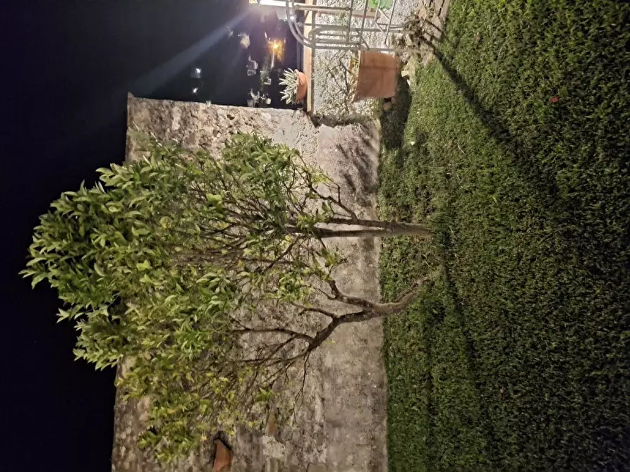 Immagine 15 di Bed & Breakfast in vendita  in Corso Giuseppe Garibaldi, 70 a Rivello