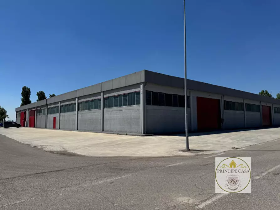 Immagine 2 di Capannone industriale in vendita  in Via Veneto a Casale Di Scodosia