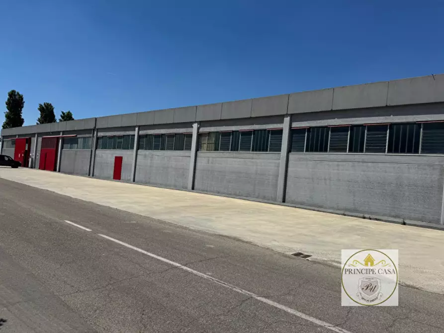 Immagine 4 di Capannone industriale in vendita  in Via Veneto a Casale Di Scodosia