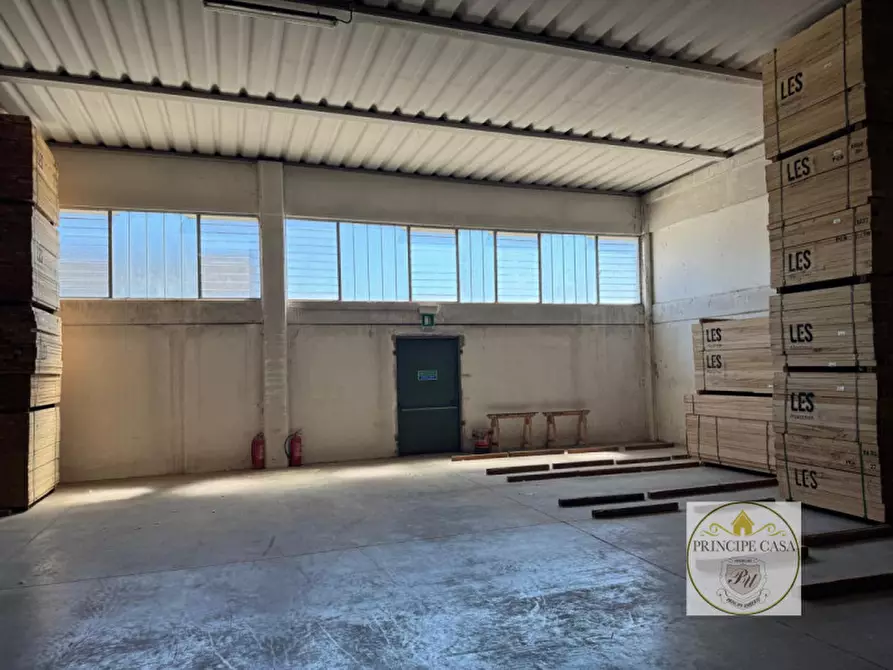 Immagine 7 di Capannone industriale in vendita  in Via Veneto a Casale Di Scodosia