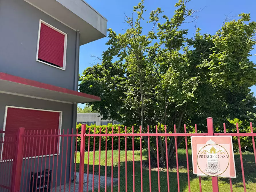 Immagine 10 di Capannone industriale in vendita  in Via Veneto a Casale Di Scodosia
