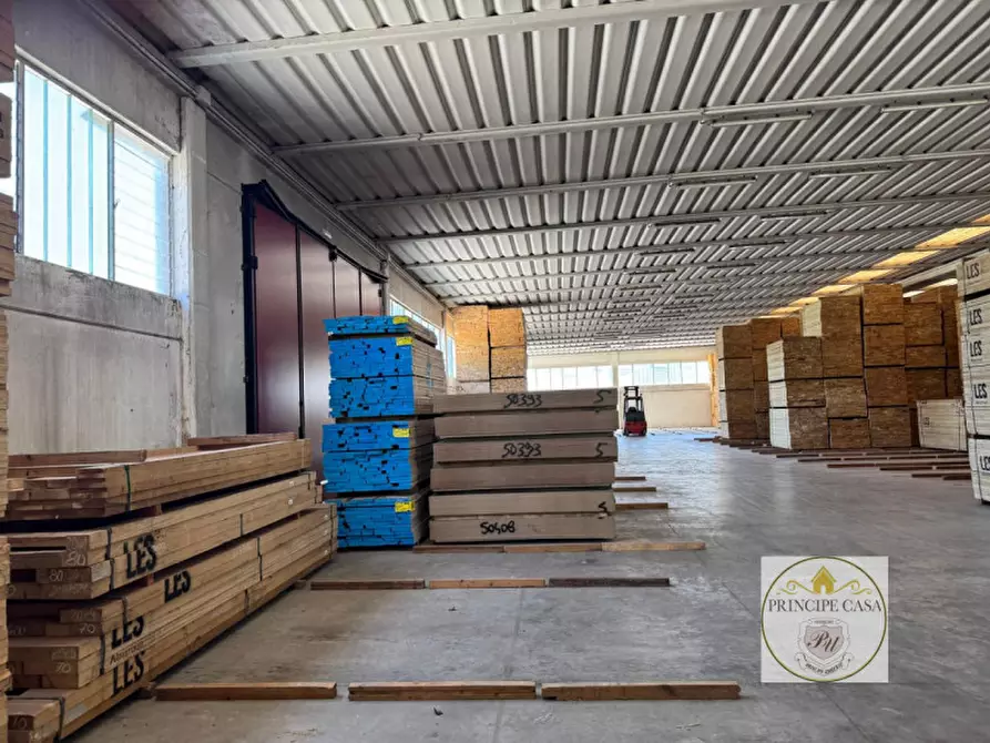 Immagine 11 di Capannone industriale in vendita  in Via Veneto a Casale Di Scodosia