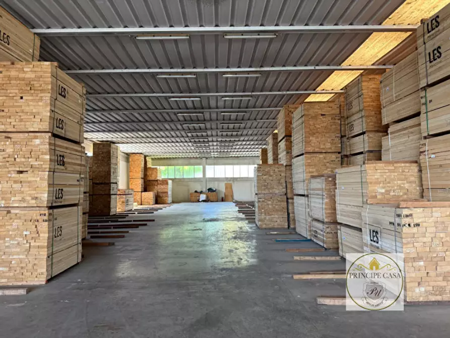 Immagine 12 di Capannone industriale in vendita  in Via Veneto a Casale Di Scodosia