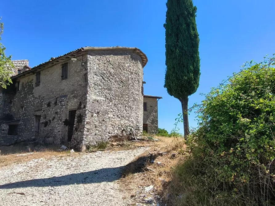 Immagine 2 di Rustico / casale in vendita  in Catinelli a Spoleto