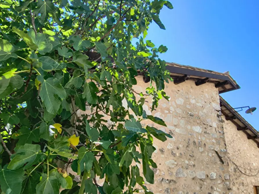 Immagine 4 di Rustico / casale in vendita  in Catinelli a Spoleto