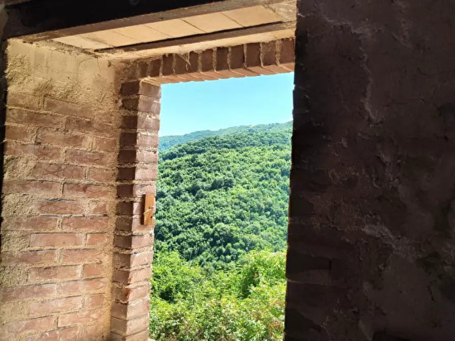 Immagine 6 di Rustico / casale in vendita  in Catinelli a Spoleto