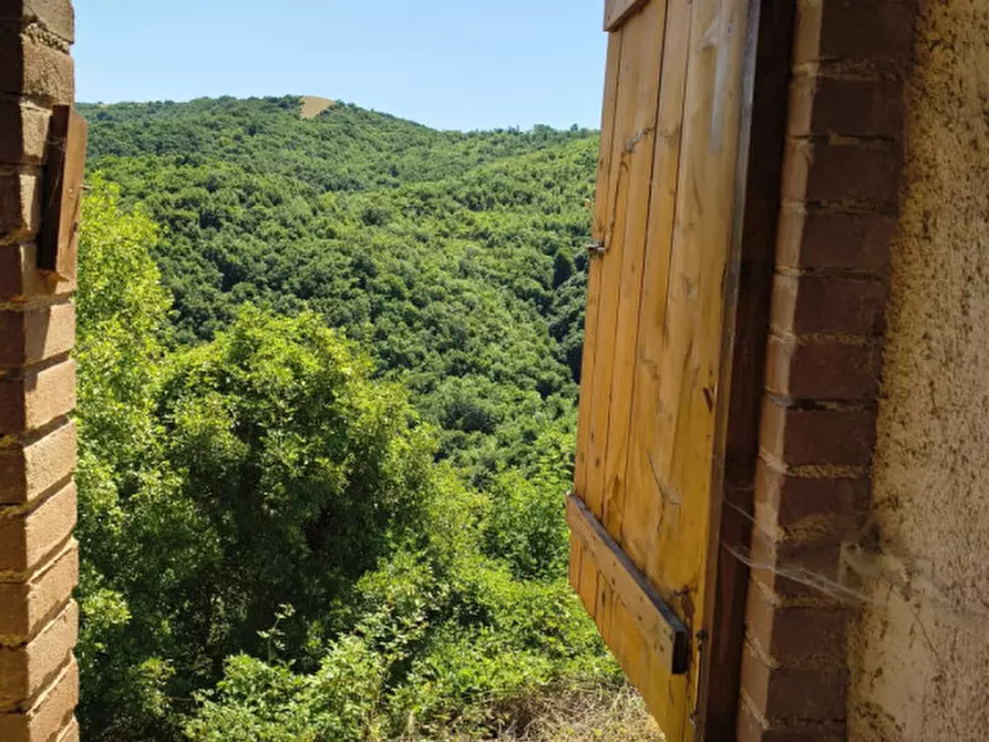 Immagine 19 di Rustico / casale in vendita  in Catinelli a Spoleto