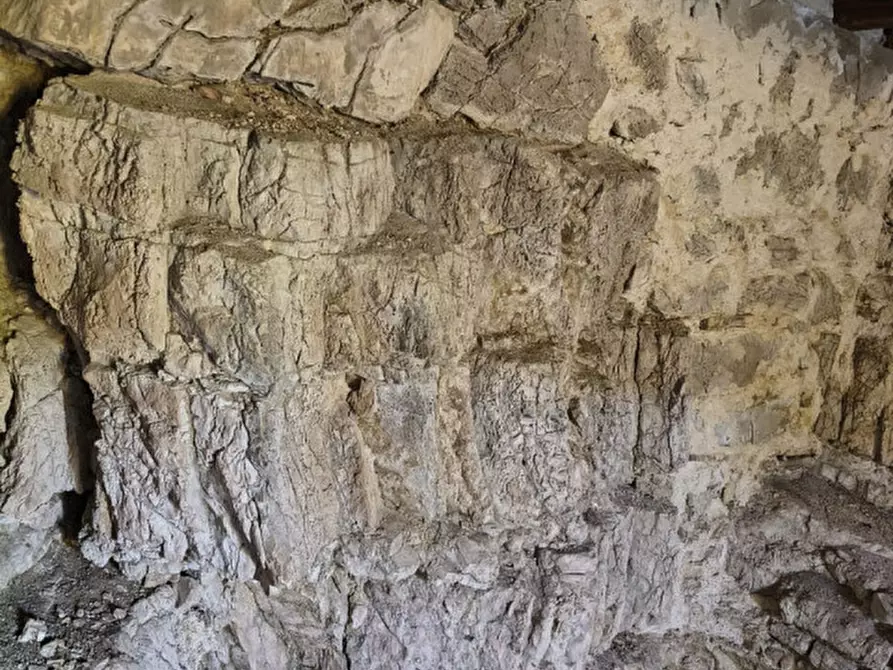 Immagine 22 di Rustico / casale in vendita  in Catinelli a Spoleto