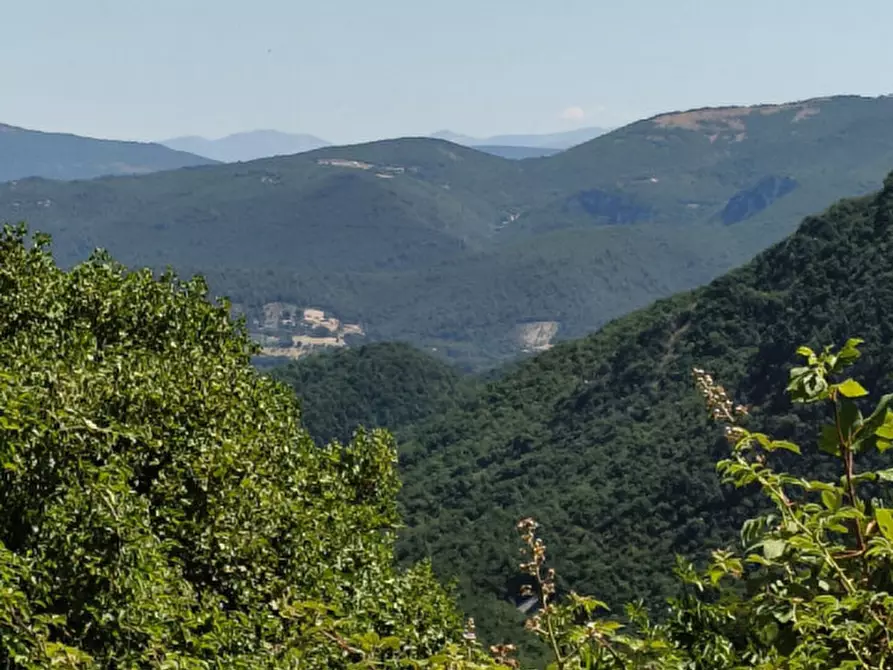 Immagine 24 di Rustico / casale in vendita  in Catinelli a Spoleto