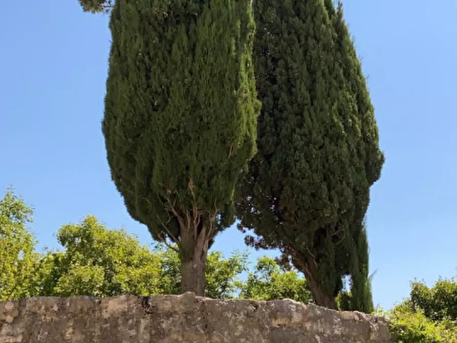 Immagine 25 di Rustico / casale in vendita  in Catinelli a Spoleto