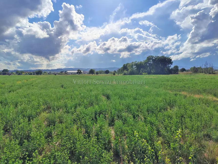locale di sgombero in vendita a Torrita di Siena in zona Montefollonico