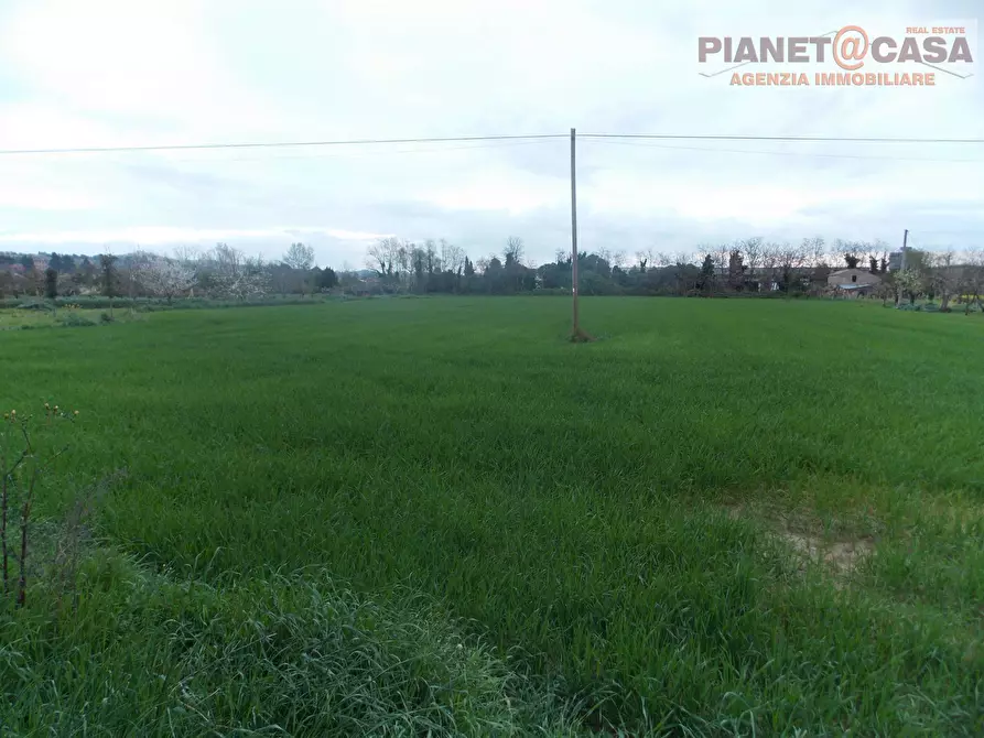 Terreno industriale in vendita in Contrada San Mauro a Monsampolo Del Tronto