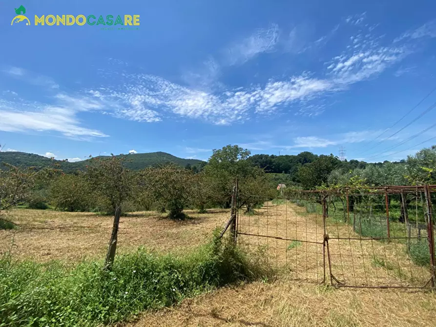 Terreno agricolo in vendita in via delle dame nord a Guidonia Montecelio