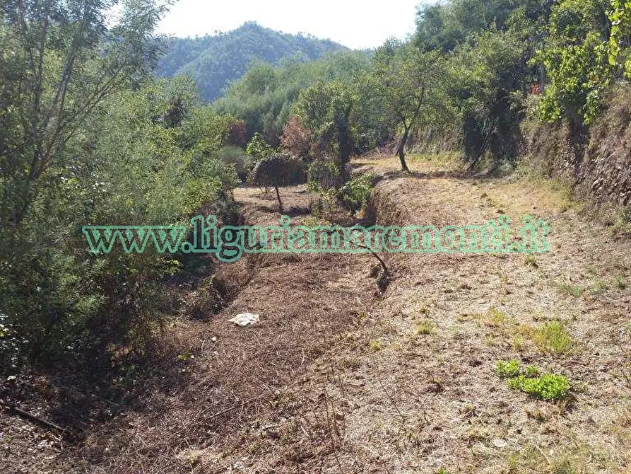 Terreno agricolo in vendita in via monteprato a Savona