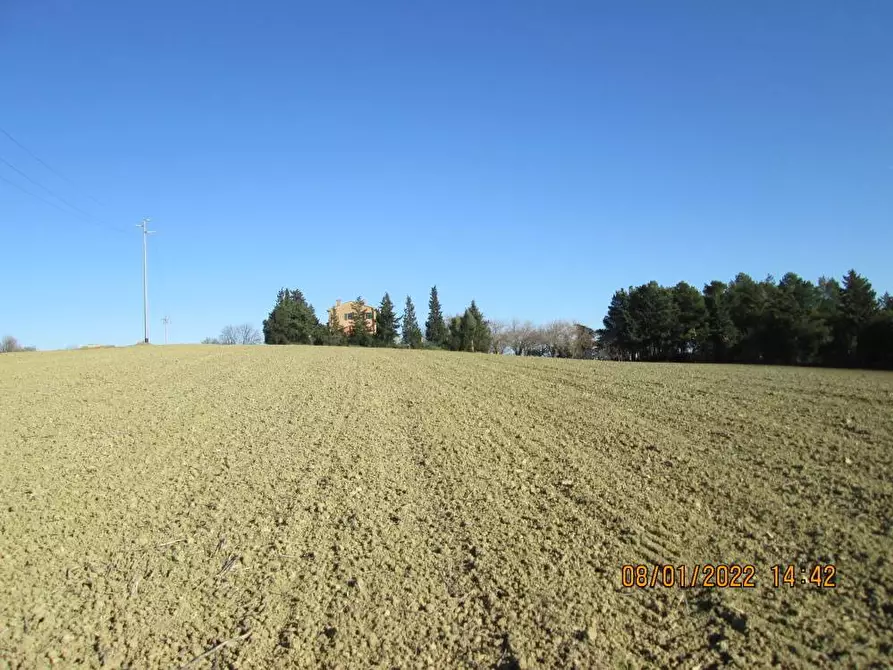 Immagine 1 di Terreno agricolo in vendita  in via Tabano a Jesi