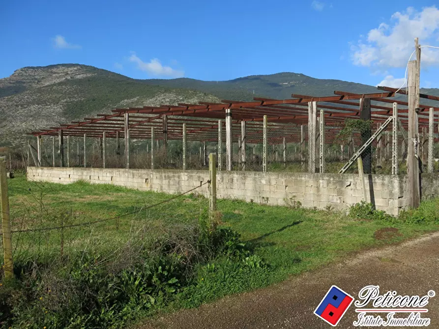 Terreno agricolo in vendita in Via Orione a Monte San Biagio