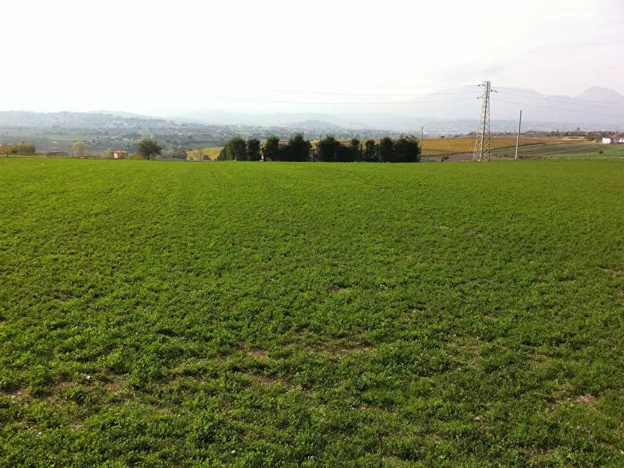 Terreno agricolo in vendita in Contrada Cancelleria a Benevento