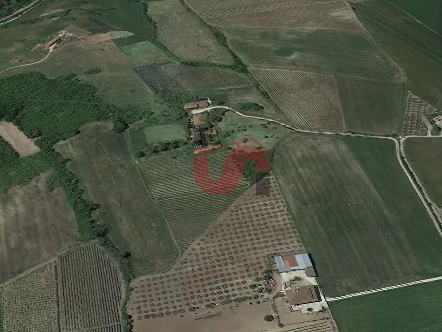 Terreno agricolo in vendita in Contrada San Vitale a Benevento