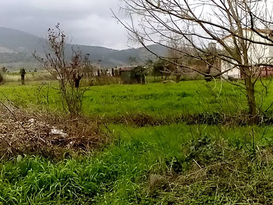 Terreno agricolo in affitto in Via Paolo Savi a Cascina