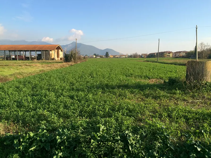 Terreno agricolo in affitto in Via Carlo Matteucci a Pisa