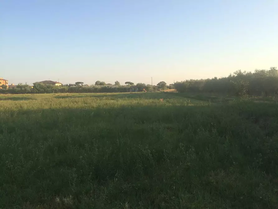 Terreno agricolo in vendita in via provinciale per lorenzana a Cascina