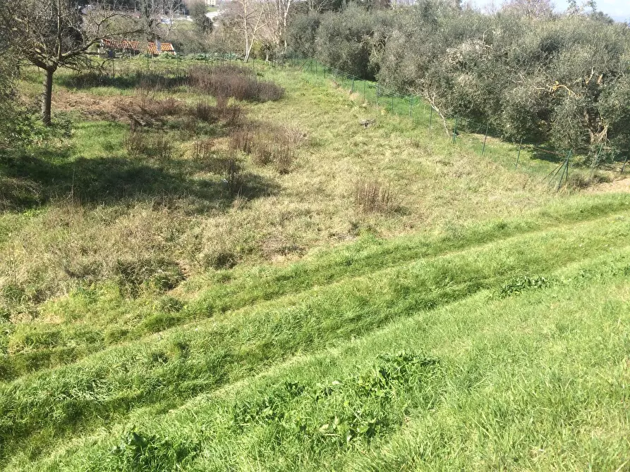 Terreno agricolo in vendita in golena a San Giuliano Terme