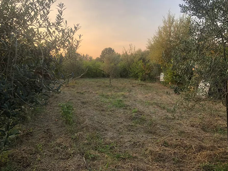 Terreno agricolo in vendita in via montanelli a Pisa