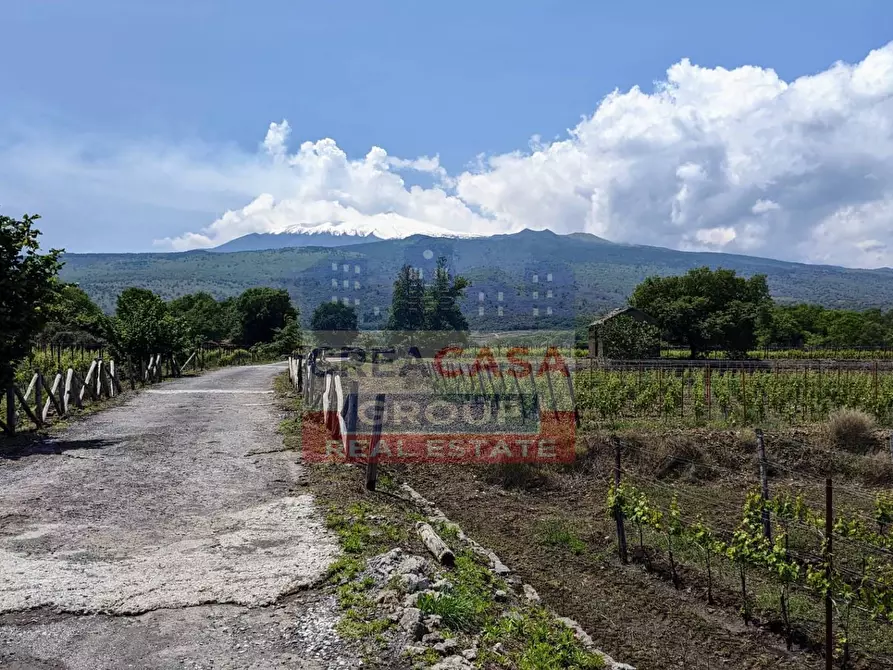 Terreno agricolo in vendita in c.da Cerro a Castiglione Di Sicilia