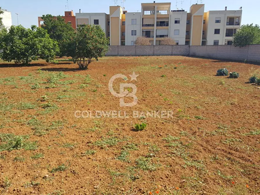 Terreno residenziale in vendita in Via Schiavo della Conca a San Pietro In Lama