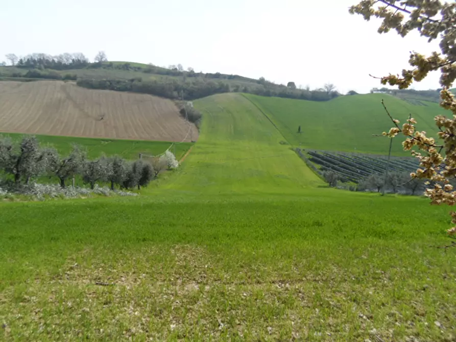 Terreno agricolo in vendita in Contrada Forola a Acquaviva Picena