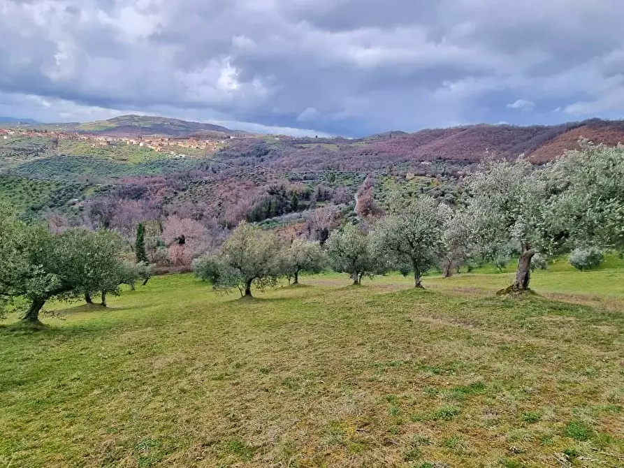 Terreno agricolo in vendita in Contrada Serra di Marco a Castel Baronia
