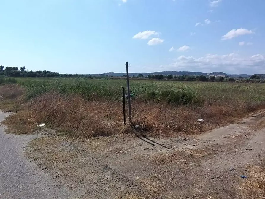 Terreno agricolo in vendita in Contrada Zolfara a Corigliano-Rossano