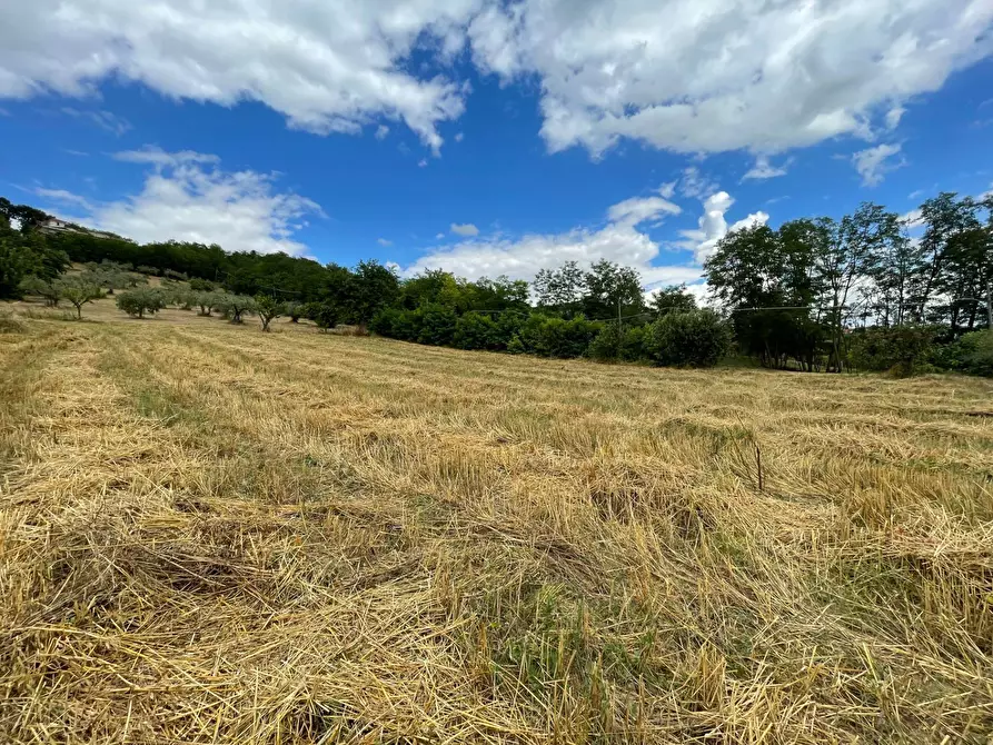 Immagine 1 di Terreno agricolo in vendita  in contrada san tommaso a Ariano Irpino