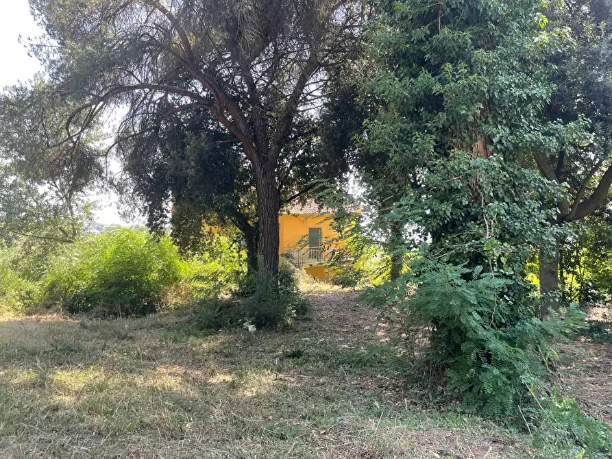 Immagine 4 di Casa indipendente in vendita  in contrada san tommaso a Ariano Irpino