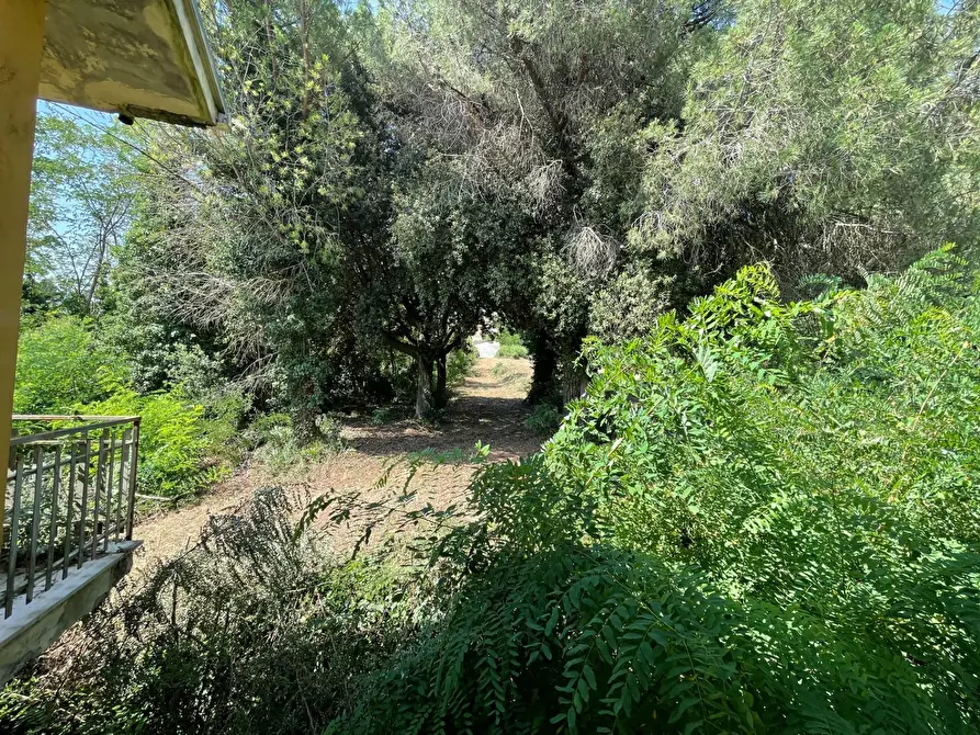 Immagine 16 di Casa indipendente in vendita  in contrada san tommaso a Ariano Irpino