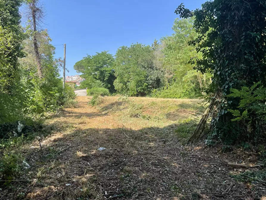 Immagine 30 di Casa indipendente in vendita  in contrada san tommaso a Ariano Irpino