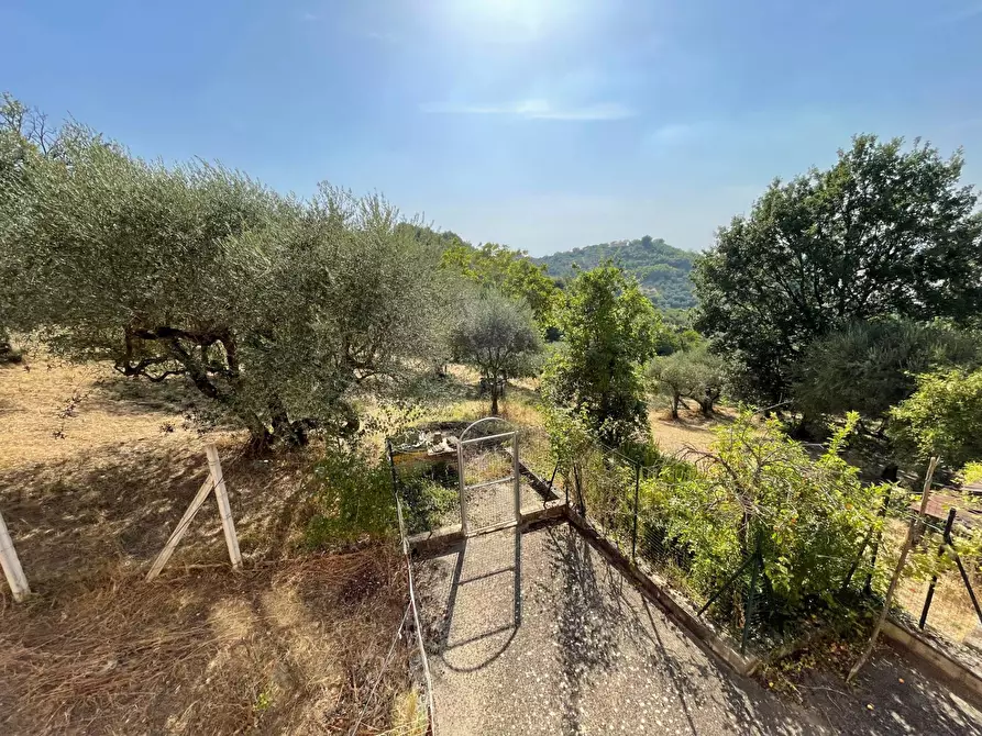 Immagine 29 di Casa indipendente in vendita  in contrada arnola a Ariano Irpino