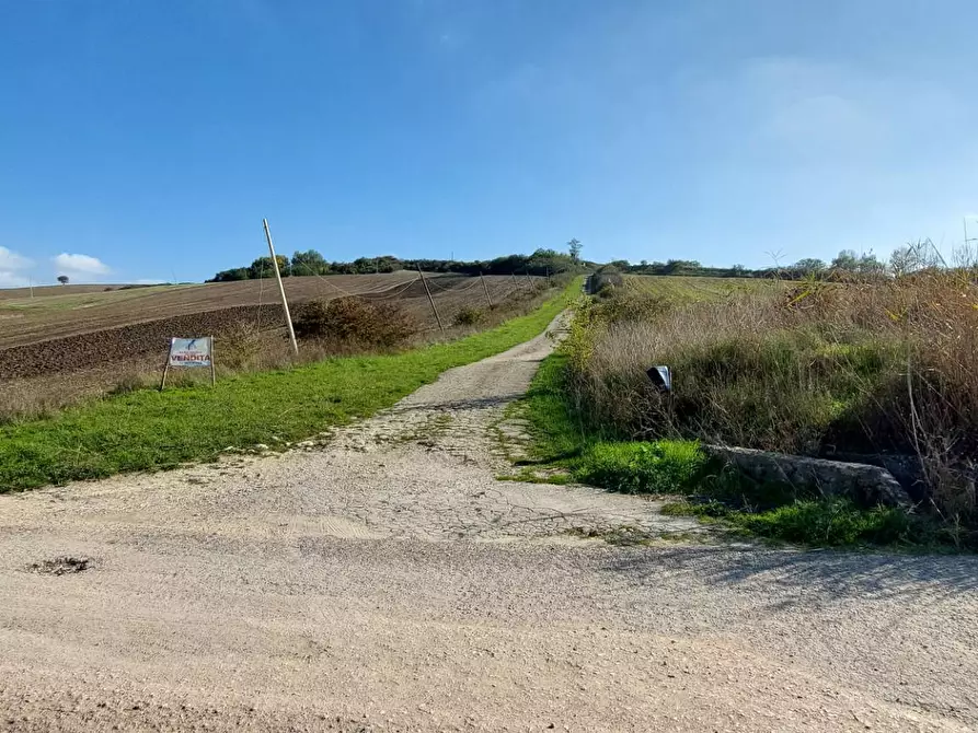 Immagine 1 di Agriturismo in vendita  in contrada difesa grande località pianerottolo a Ariano Irpino