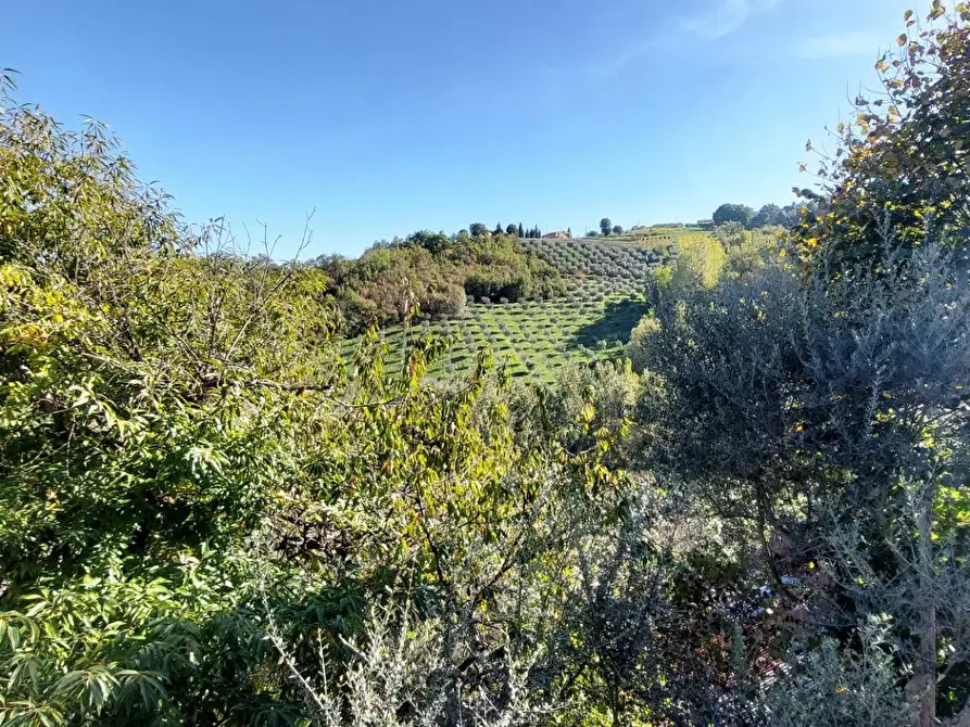 Immagine 24 di Casa indipendente in vendita  in contrada cardito a Ariano Irpino