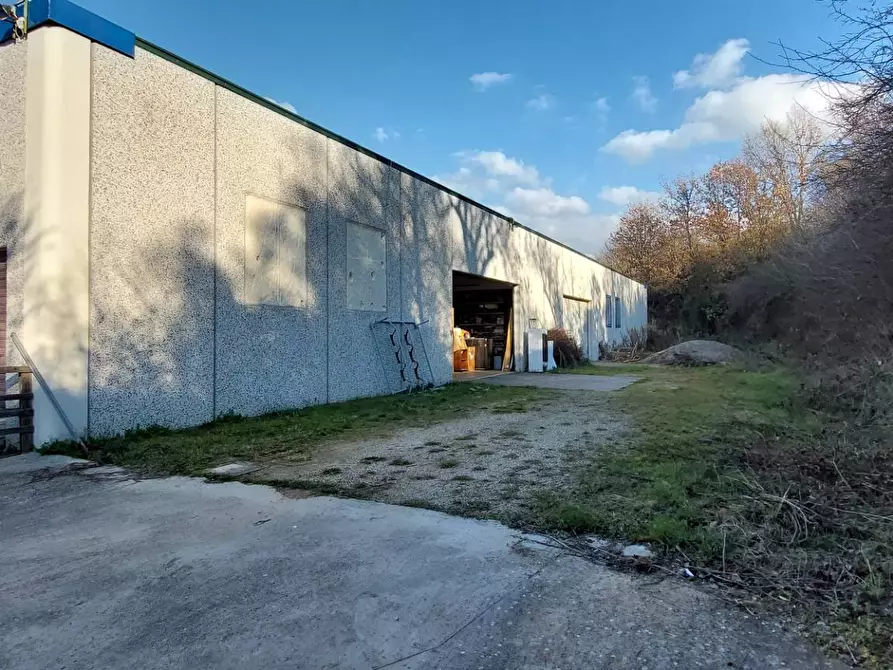 Immagine 4 di Magazzino in vendita  in contrada torreamando a Ariano Irpino