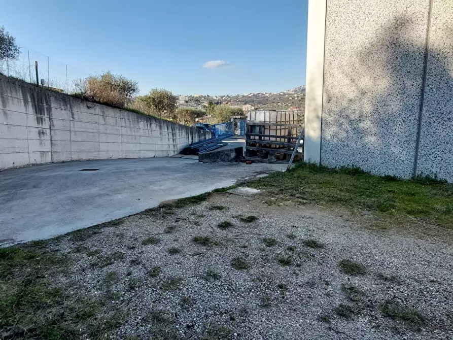 Immagine 6 di Magazzino in vendita  in contrada torreamando a Ariano Irpino