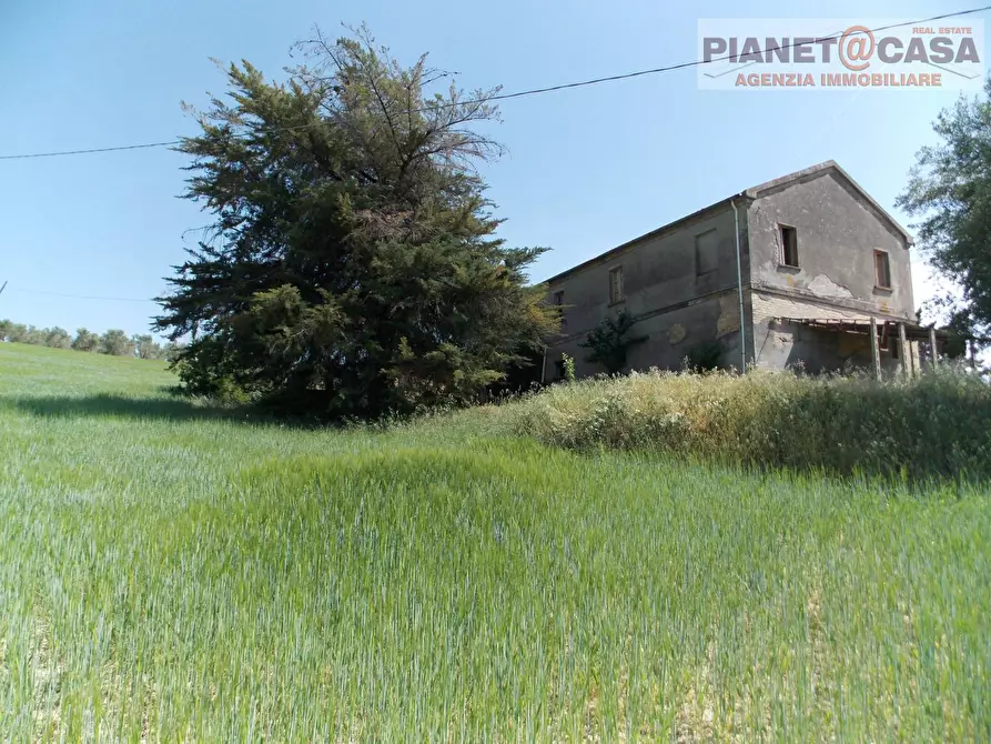 Immagine 4 di Rustico / casale in vendita  in Strada Provinciale 46 a Acquaviva Picena