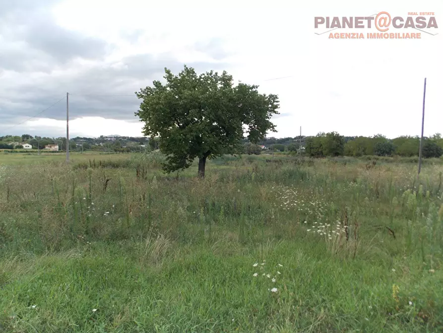 Immagine 30 di Casa indipendente in vendita  in Via Casale inferiore a Colli Del Tronto