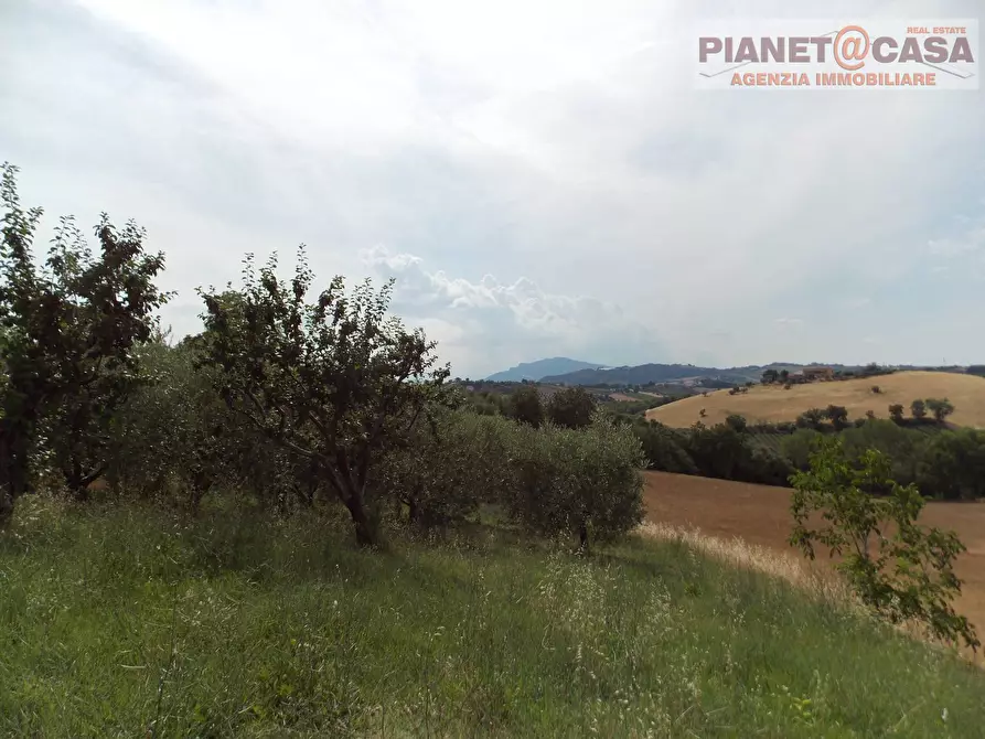 Immagine 9 di Casa indipendente in vendita  in Contrada Lava a Offida