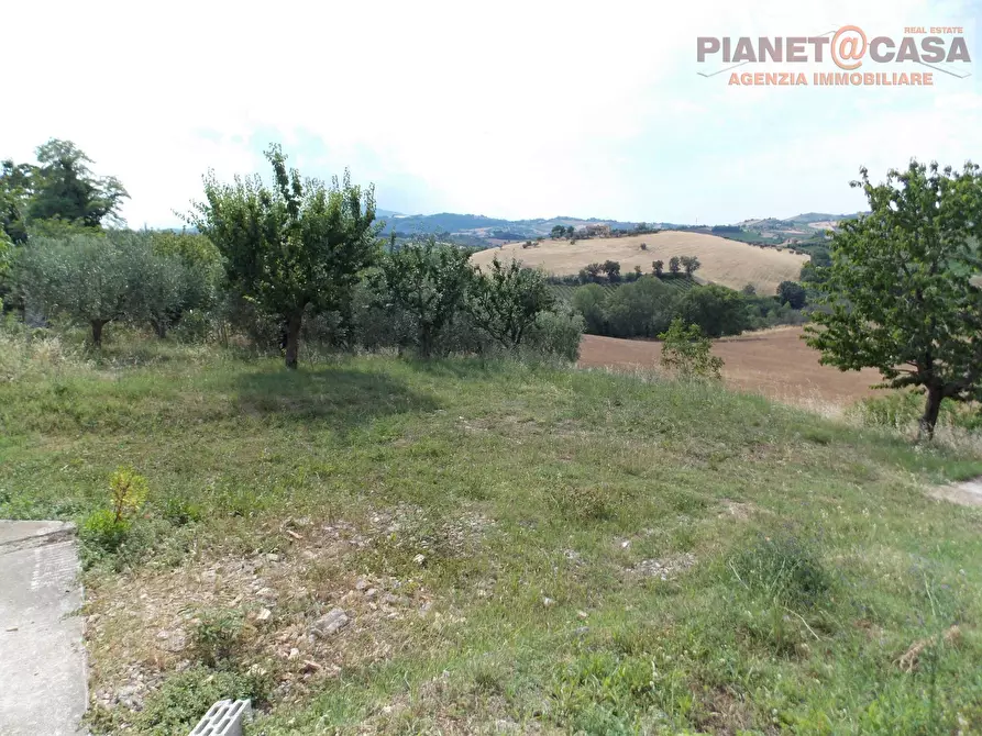 Immagine 11 di Casa indipendente in vendita  in Contrada Lava a Offida