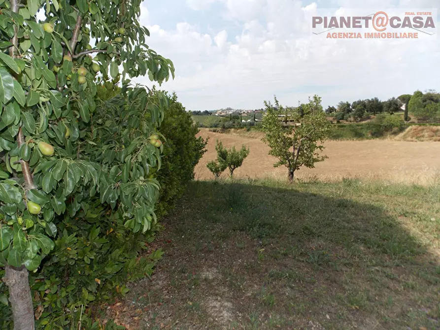 Immagine 12 di Casa indipendente in vendita  in Contrada Lava a Offida